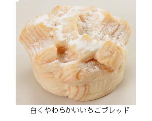 潔く柔く
